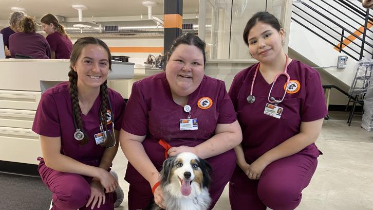 2024 Veterinary Technology