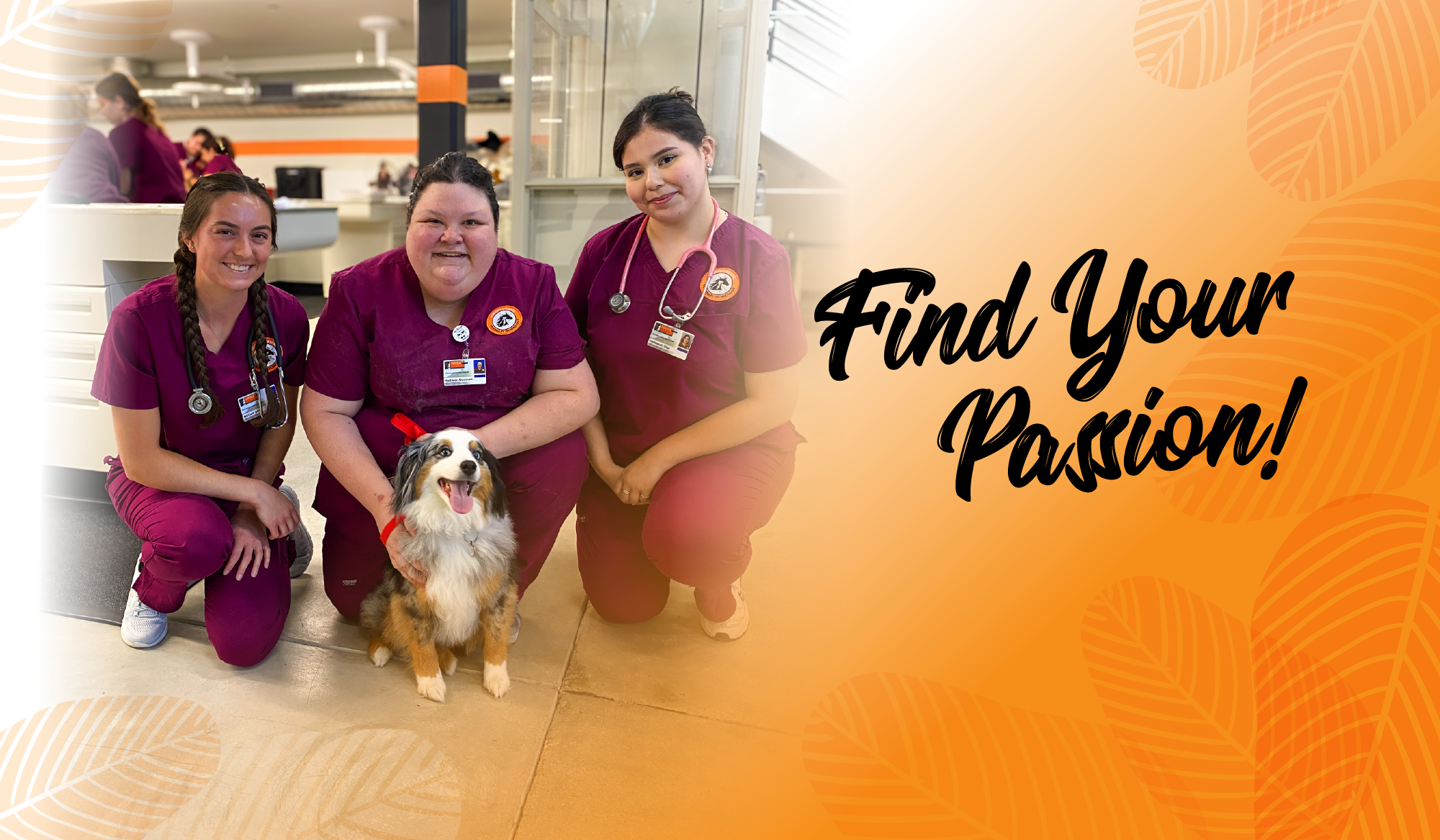 find your passion with photo of 3 veterinary technology students and a dog