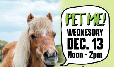 Pet Me. Wednesday, Dec. 13, Noon - 2 p.m. Finals De-Stress